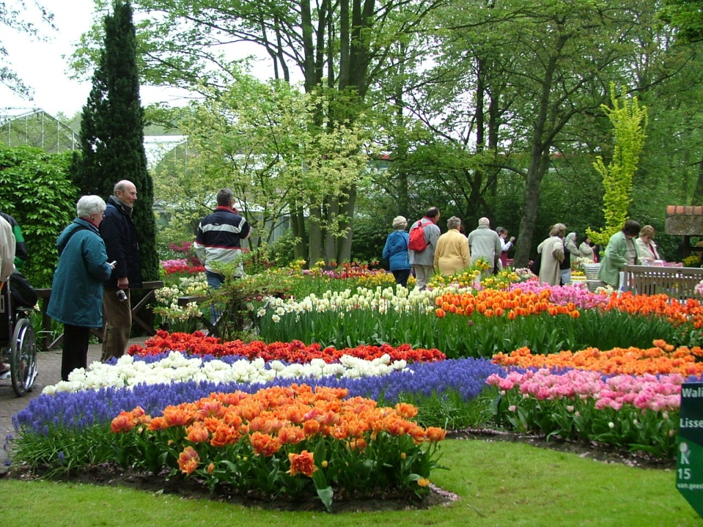 Dalat-The city of flowers