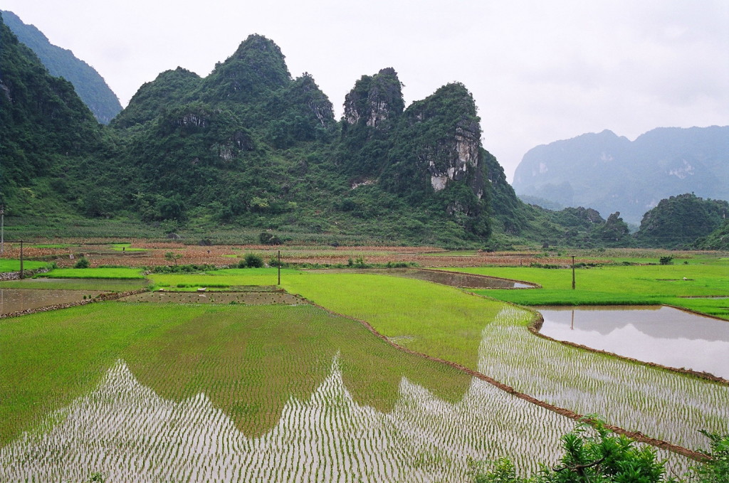 Rice paddy fields in Cao Bang province, Vietnam