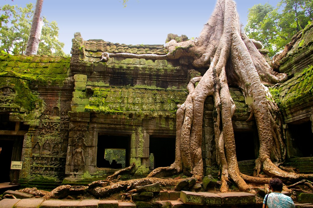 Ta Prohm temple in Siem Reap, Cambodia