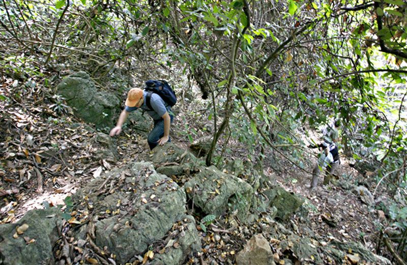 Trekking in Cat Ba National Park