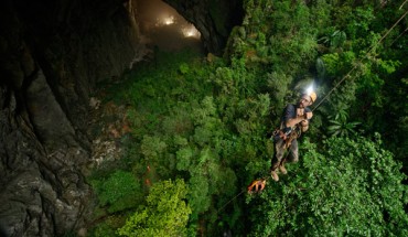 The lush green jungle inside the cave