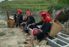 Sapa People