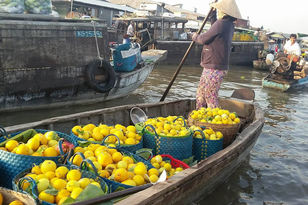 Boat full of fruit in Cai Rang Floating Market