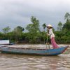 Canal in Mekong Delta