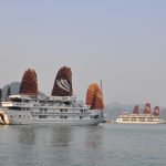 Cruise along the World Heritage - Halong Bay best 10 day tour of vietnam