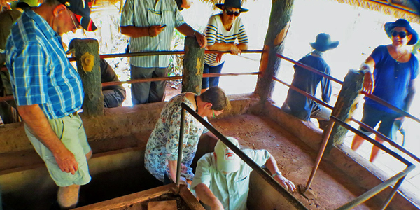 Discover Long Phuoc Tunnels