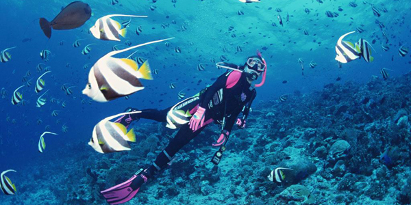Dive and discover the colorful coral reefs in Nha Trang Bay