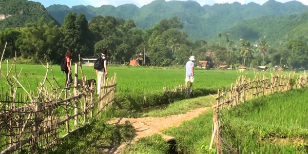 Easy trek through the beautiful scenery of Mai Chau