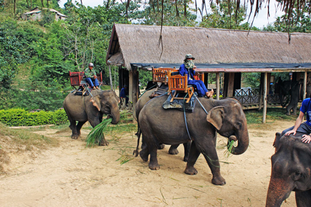 Elephant Village, Luang Prabang, Laos