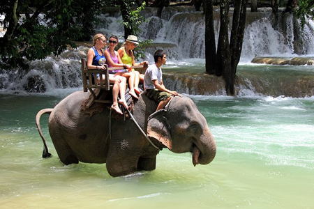 Elephant ride in Tad Sae Waterfall