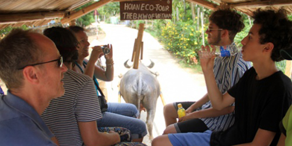 Enjoy buffalo cart ride in Hoi An