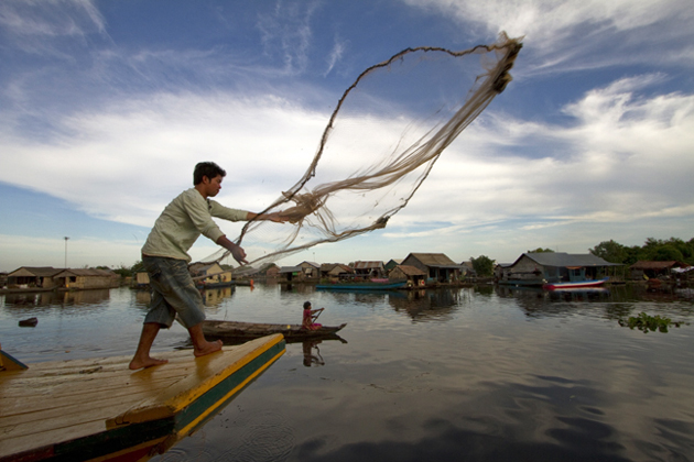 Fisherman casting fishing net in Tonle Sap Lake