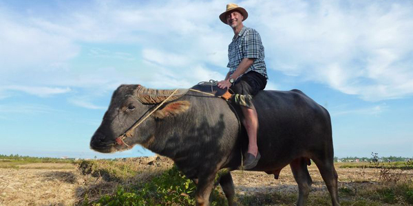 Foreign tourist take a water buffalo ride near the rice farm
