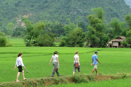 Hike through the rice paddies of Mai Chau