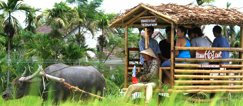 Hoi An BMW Buffalo Cart Tour