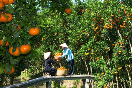 Mekong Delta - Vietnam luxury tours