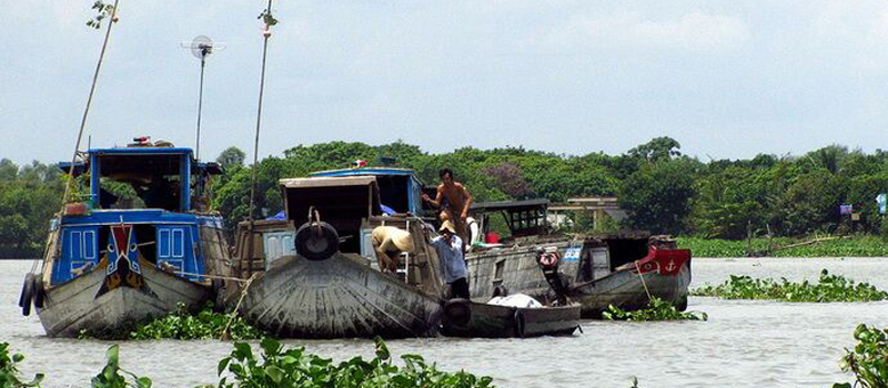 Mekong Rustic - Homestay Tour