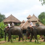 Phou asa elephant riding