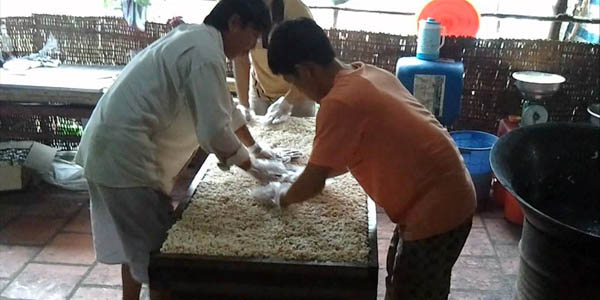 Rice pop corn workshop in Mekong Delta