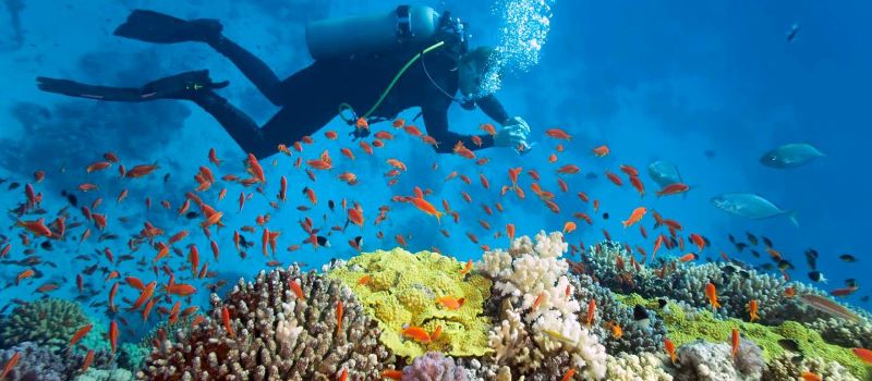 Scuba diving at Nha Trang vietnam