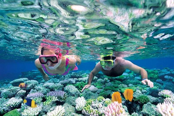 Snorkeling in Mun island, Nha Trang