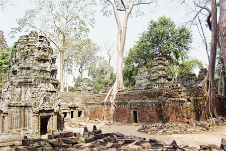 Ta Prohm Temple