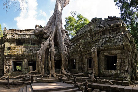 Ta Prohm Temple