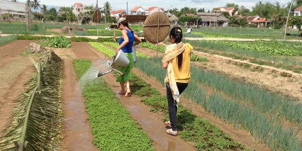 Tra Que Organic Gardens