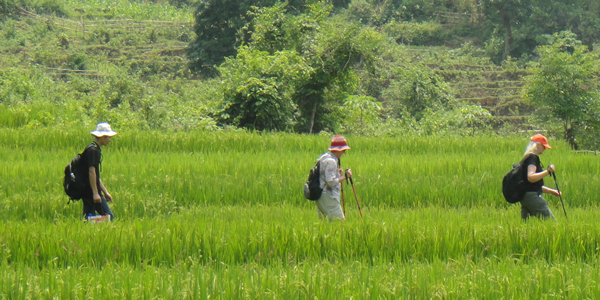 Trek through the beautiful scenery of Sam Khoe village