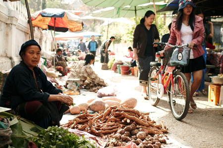 Visit local market to understanding Laos ingredients and pick the food for cooking class