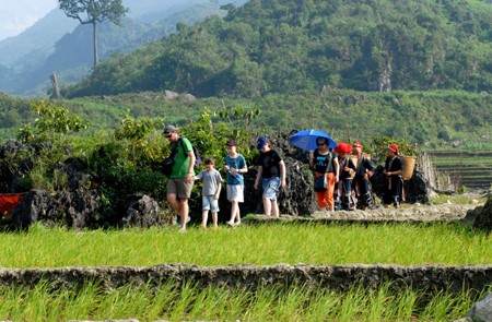 Walking through the rice paddies in Sapa
