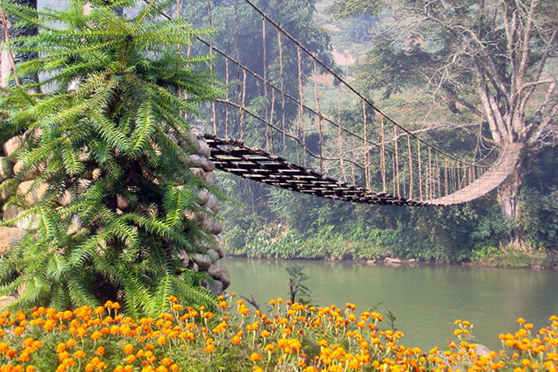 cloud bridge in sapa -vietnam tour packages