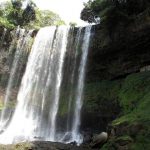 dambri waterfall in dalat