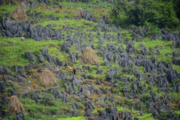 dong van karst plateau in ha giang