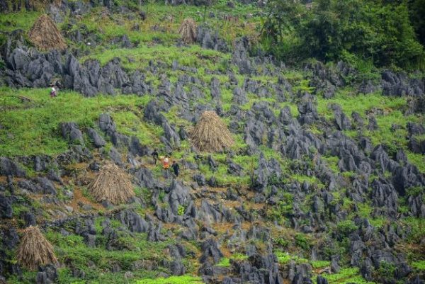 dong van karst plateau in ha giang