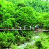 explore the nature in vietnam adventure travel