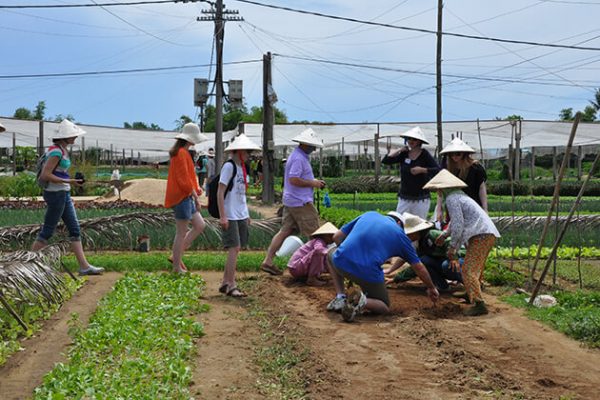 farming tour with family in hoi an