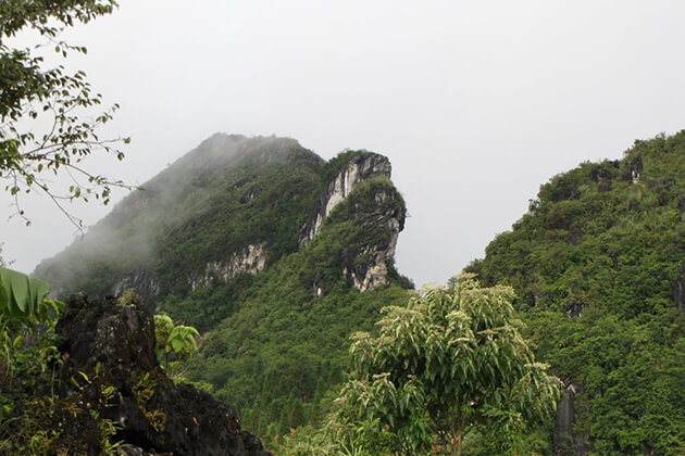 ham rong mountain in sapa