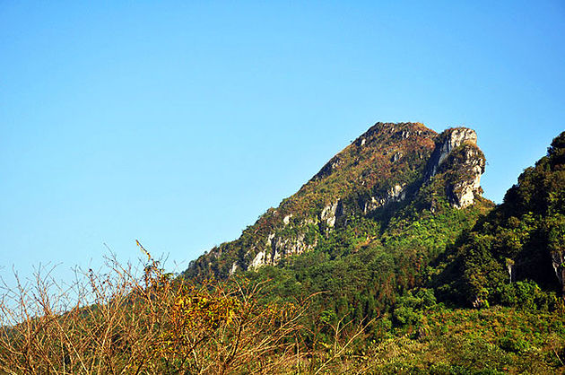 ham rong mountain sapa