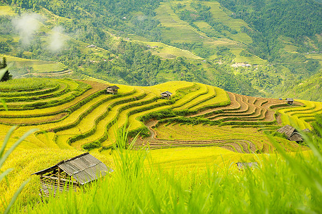 hoang su phi sapa - vietnam tours