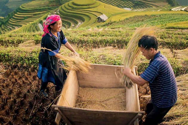 life of local people in sapa