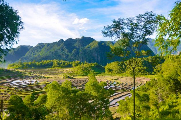 mai chau trekking journey through rice fields