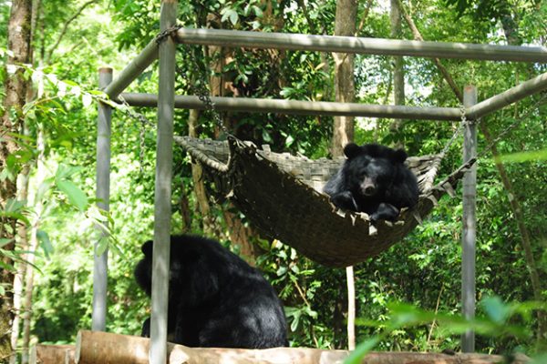 Mammals at Nam Cat Tien National Park - Vietnam tours