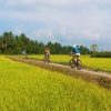 mekong detla soft cycling tour 2 days