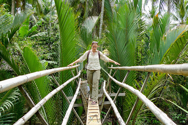 monkey bridge in mekong delta
