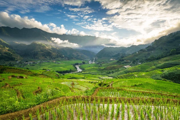 muong hoa valley in sapa lao cai