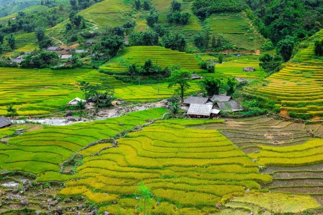 muong hoa valley in sapa lao cai