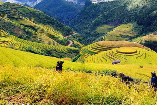 muong hoa valley in sapa