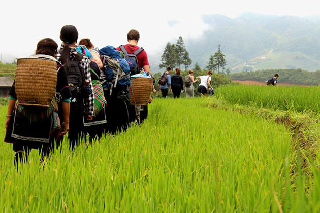 sapa trekking tour in local village