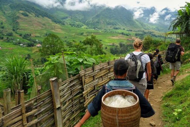 trekking in sapa lao cai vietnam